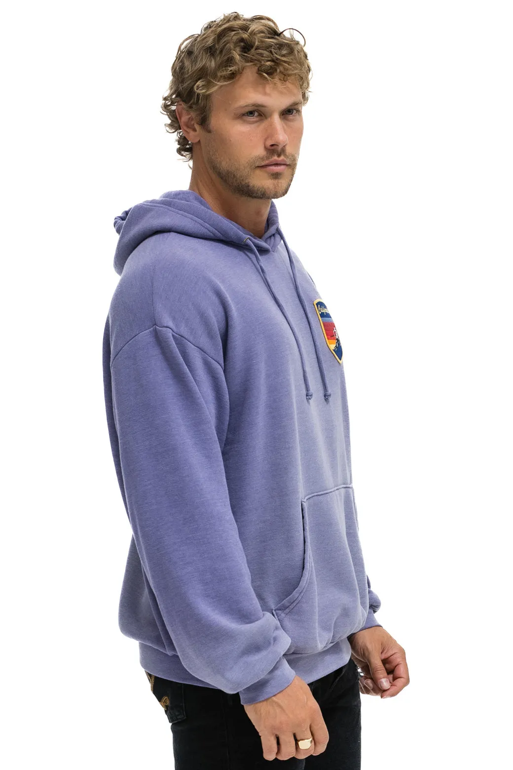 CALIFORNIA SKIER PATCH PULLOVER RELAXED HOODIE - FADED GRAPE