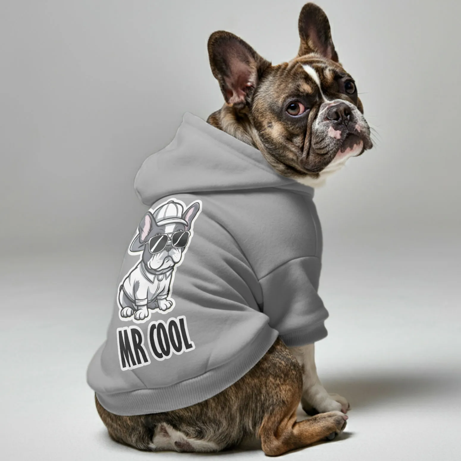 Mr Cool - Personalized French Bulldog Hoodies with Funny Quotes – Stylish, Cozy, and Premium 100% Cotton