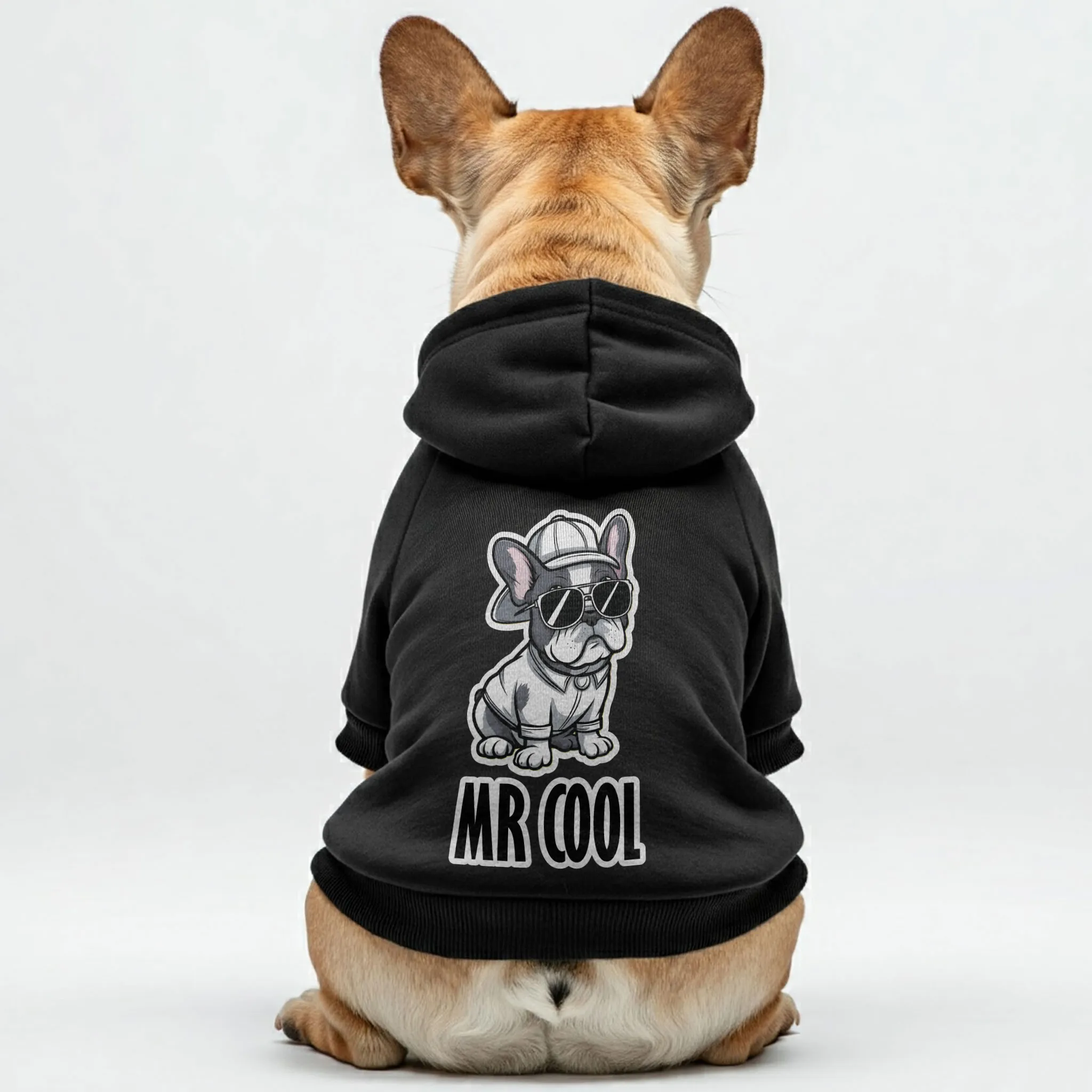 Mr Cool - Personalized French Bulldog Hoodies with Funny Quotes – Stylish, Cozy, and Premium 100% Cotton