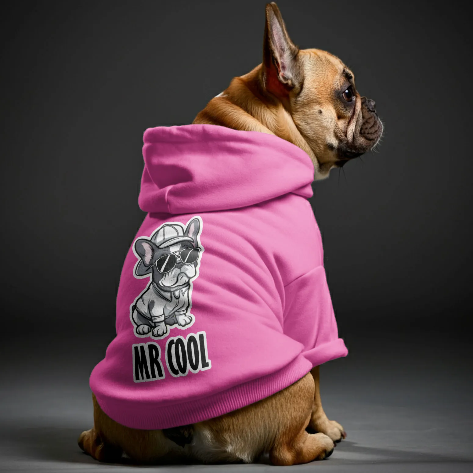 Mr Cool - Personalized French Bulldog Hoodies with Funny Quotes – Stylish, Cozy, and Premium 100% Cotton