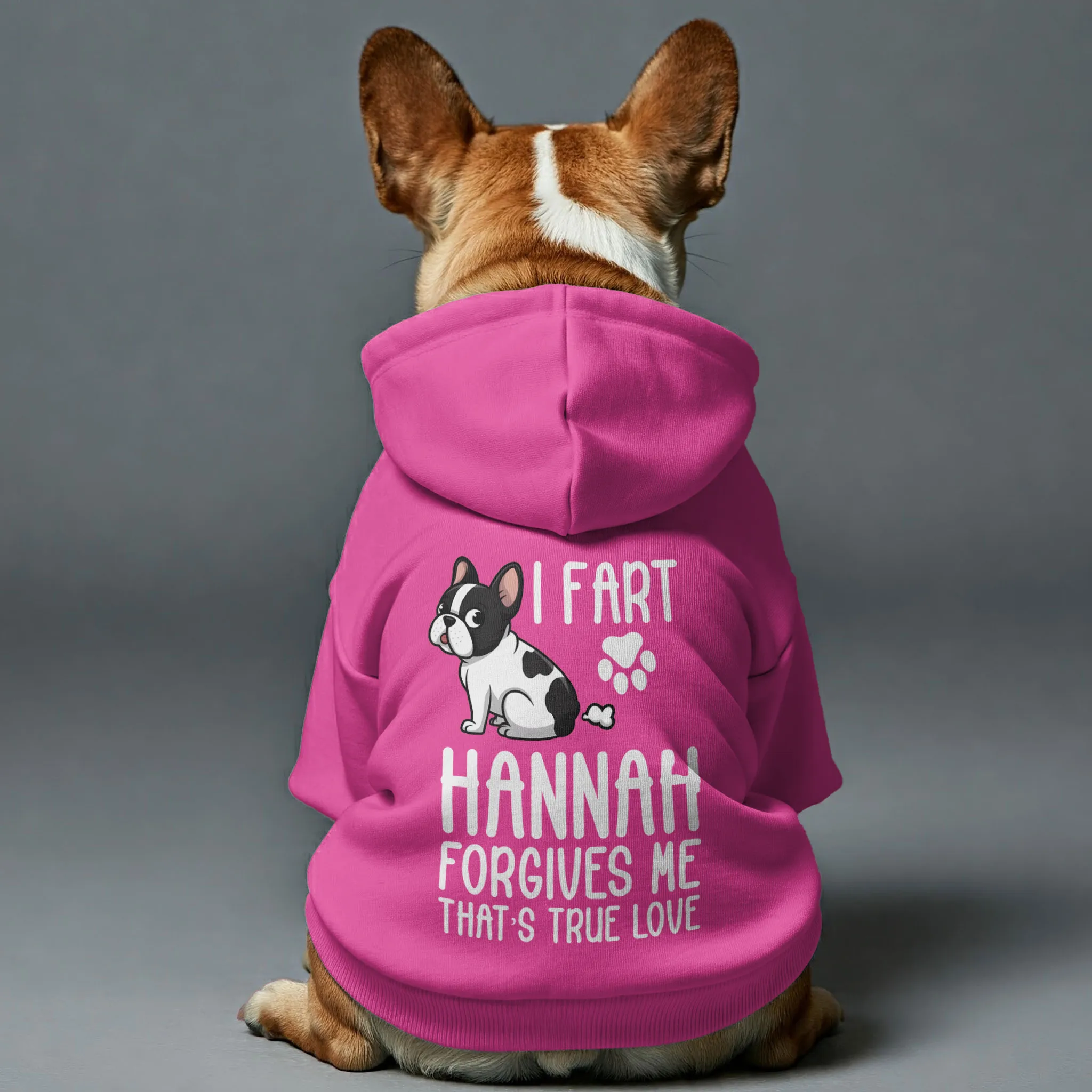 Personalized French Bulldog Hoodies with Owner's Name and Funny Quotes – Stylish, Cozy, and Premium 100% Cotton