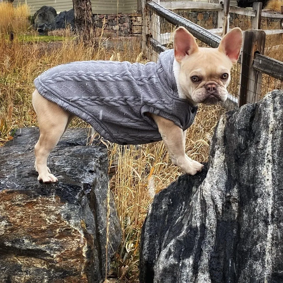 Warm Sweater for French Bulldog  (CS10)