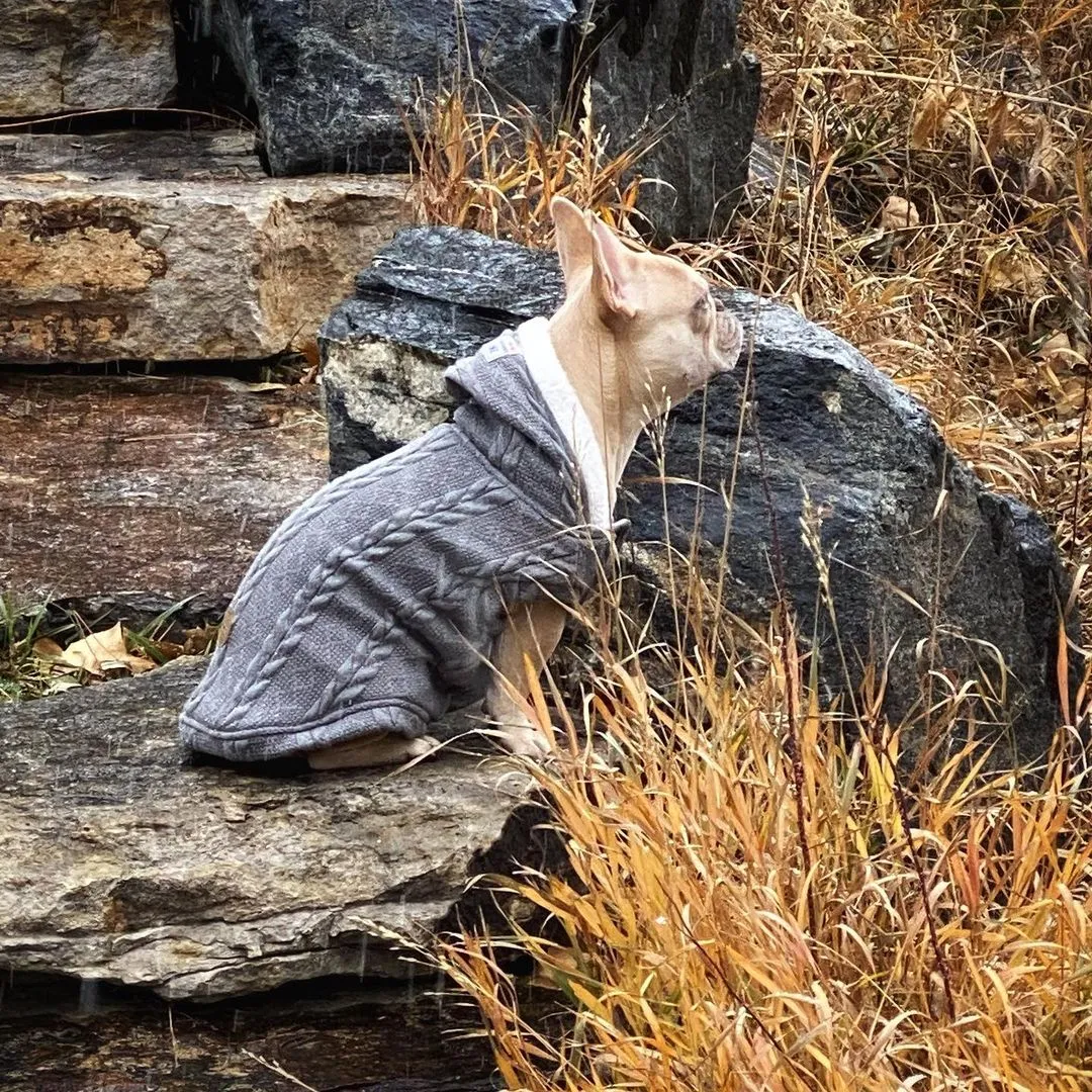 Warm Sweater for French Bulldog  (CS10)