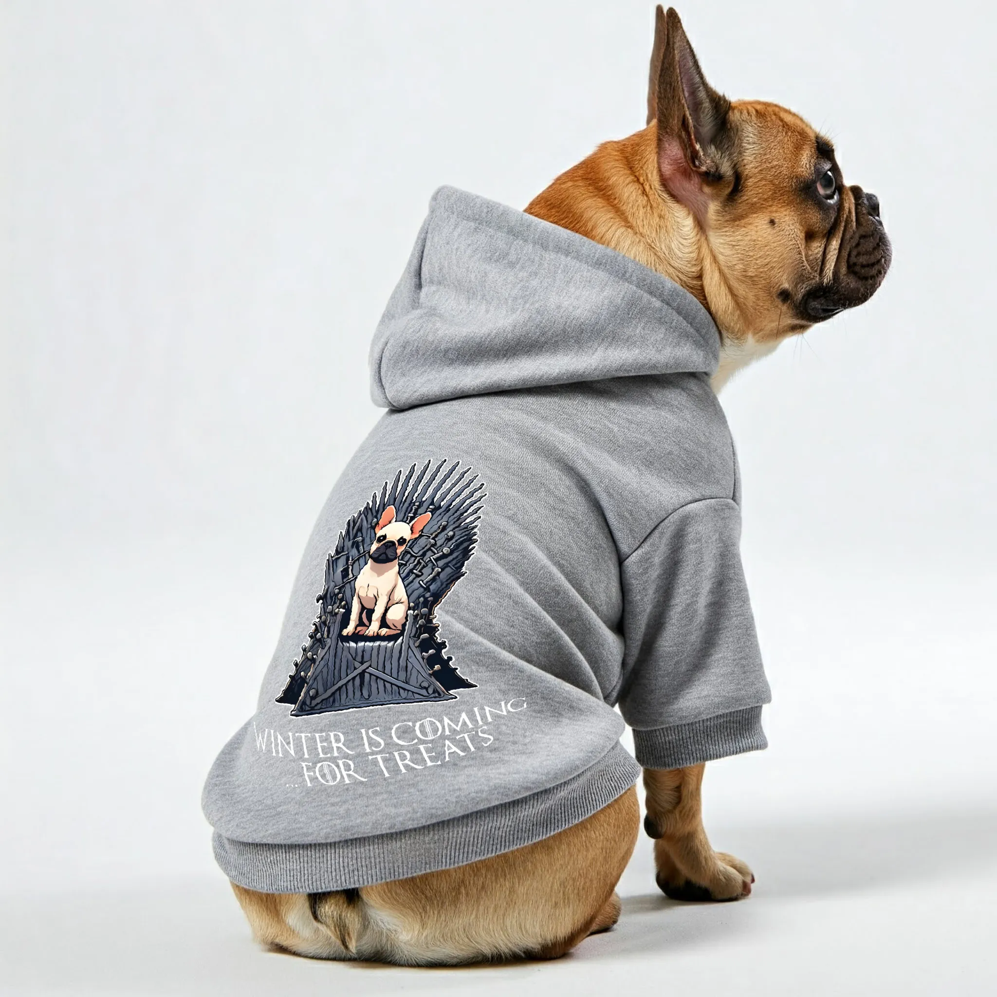 Winter is Coming… for Treats - Personalized French Bulldog Hoodies with Funny Quotes – Stylish, Cozy, and Premium 100% Cotton